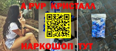 a pvp Новозыбков