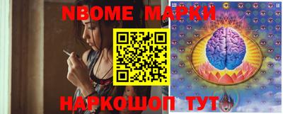 a pvp Новозыбков