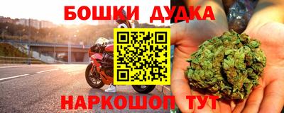 a pvp Новозыбков