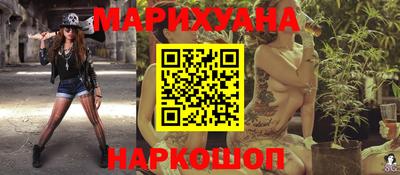 a pvp Новозыбков
