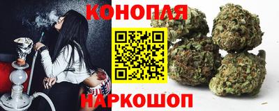 a pvp Новозыбков