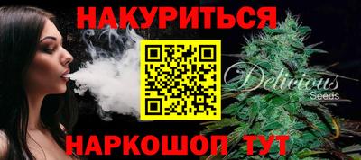 a pvp Новозыбков