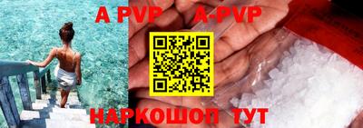 a pvp Новозыбков